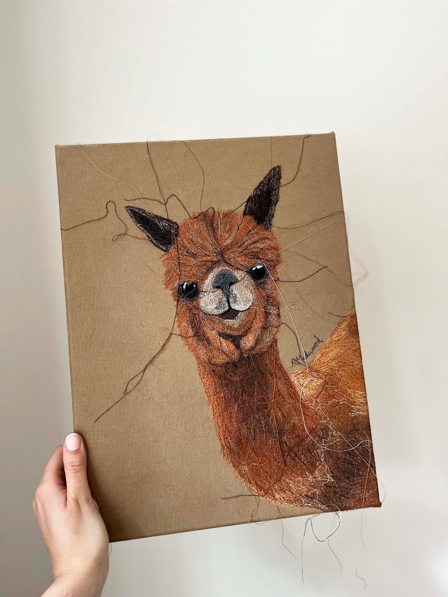 Alpaca Embroidered Canvas