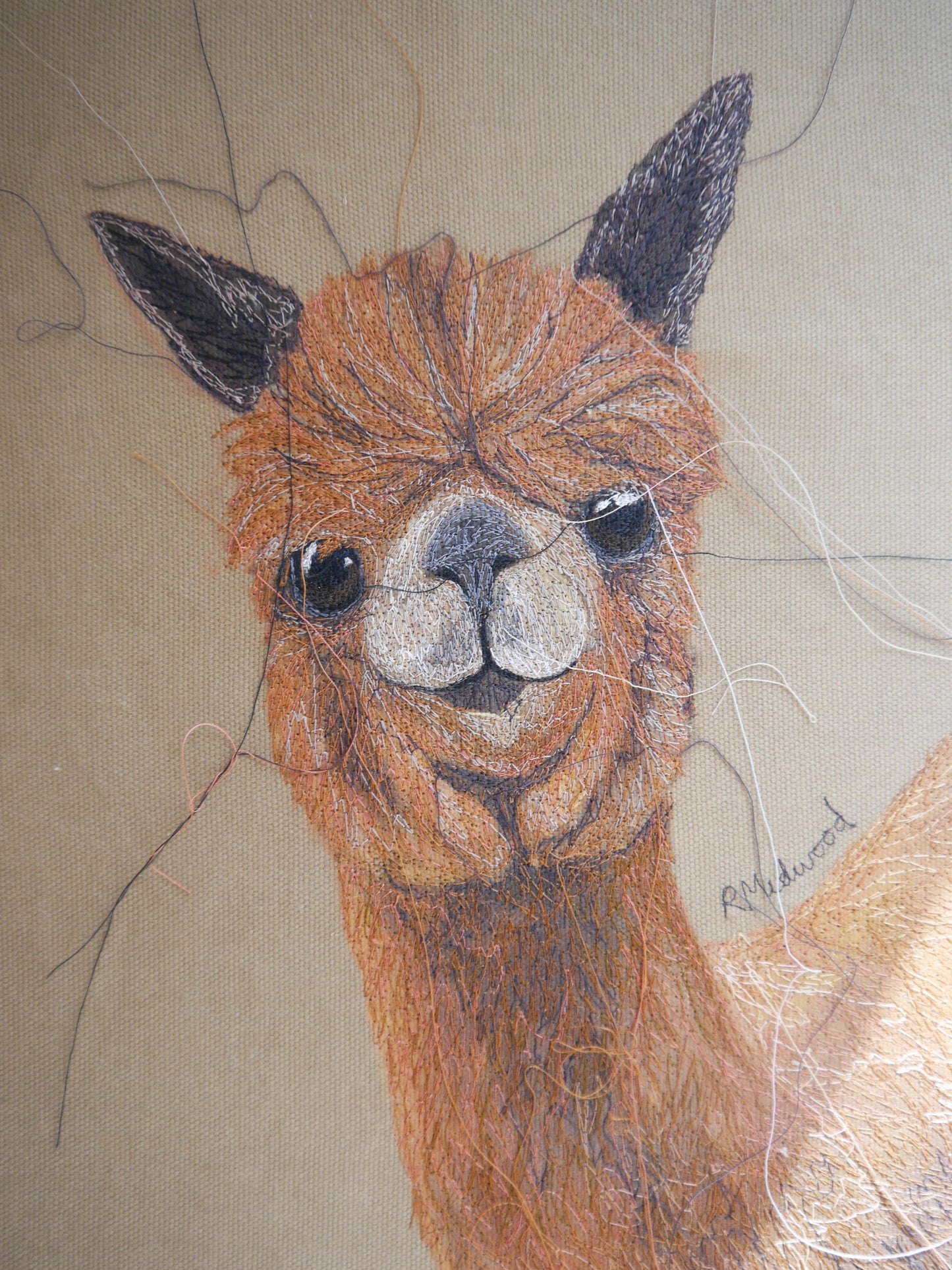 Alpaca Embroidered Canvas
