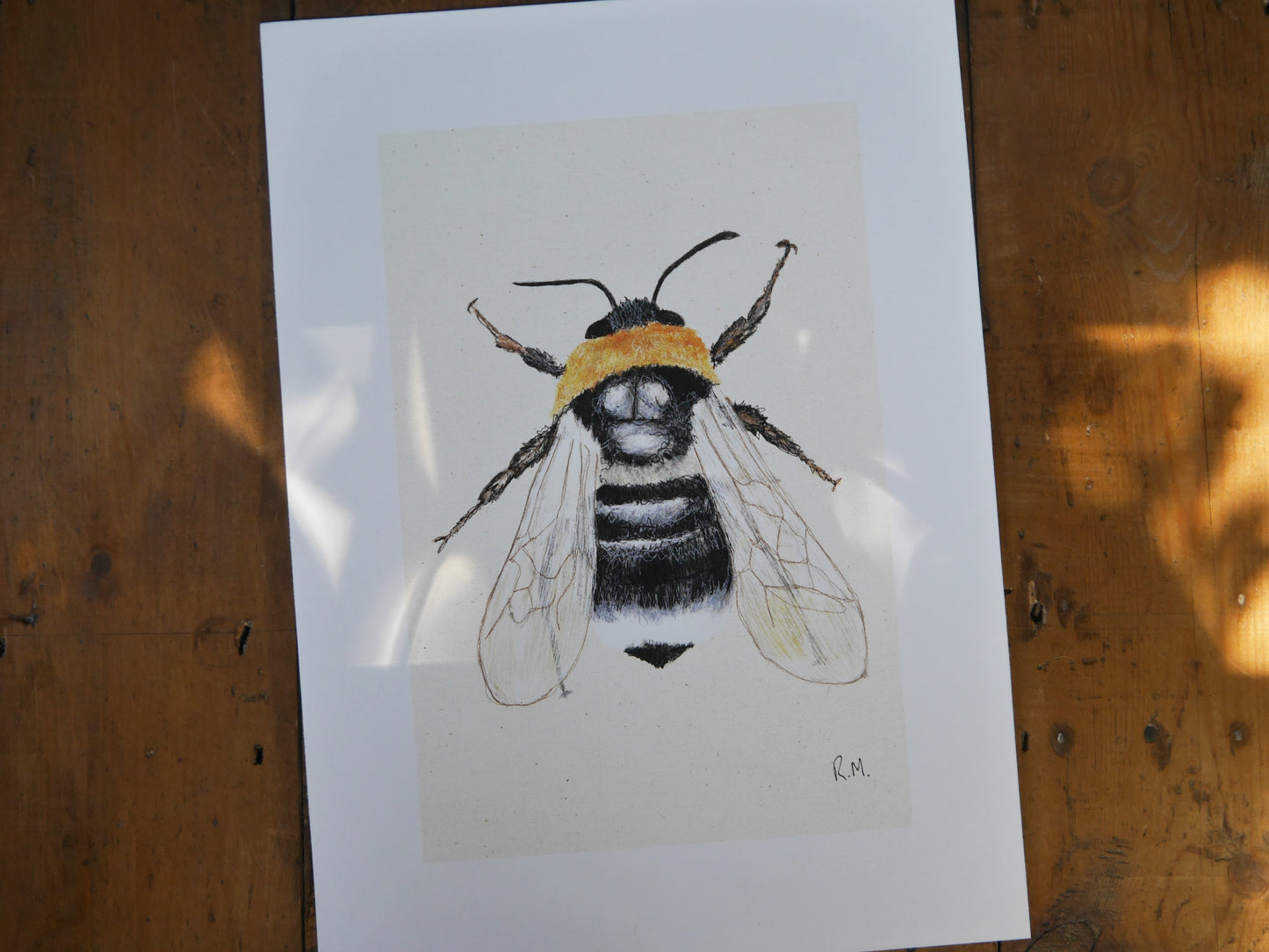 Bee Art Print