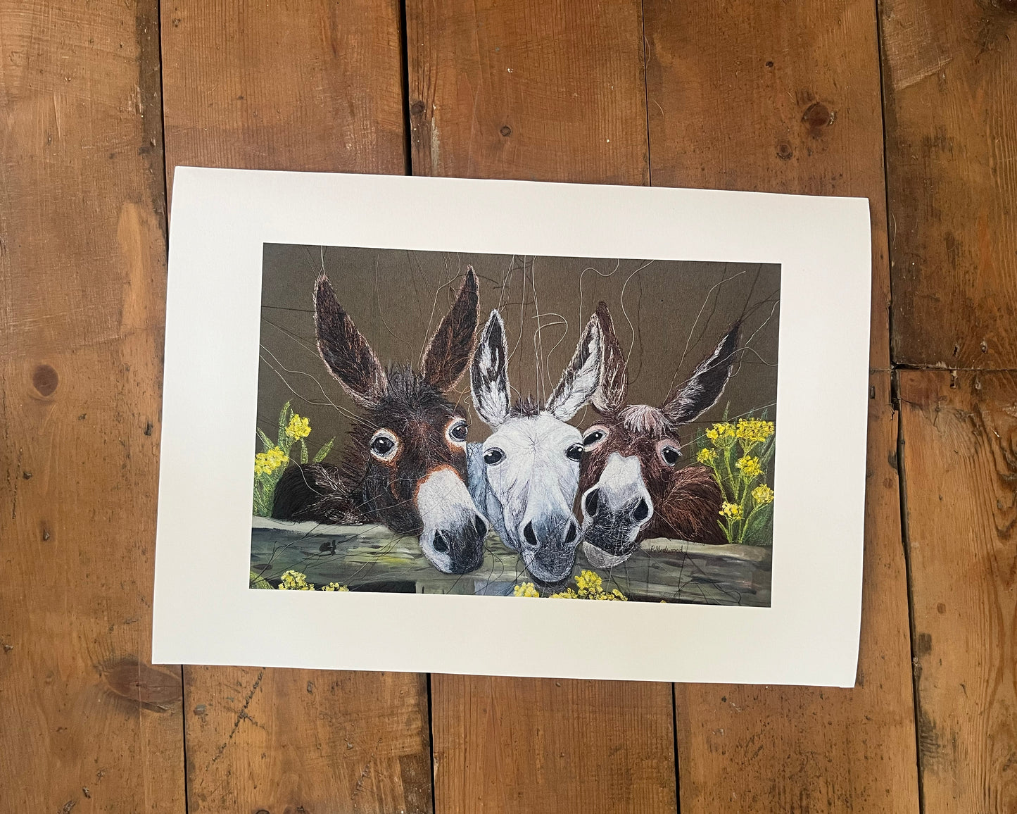Donkey's Embroidered Canvas