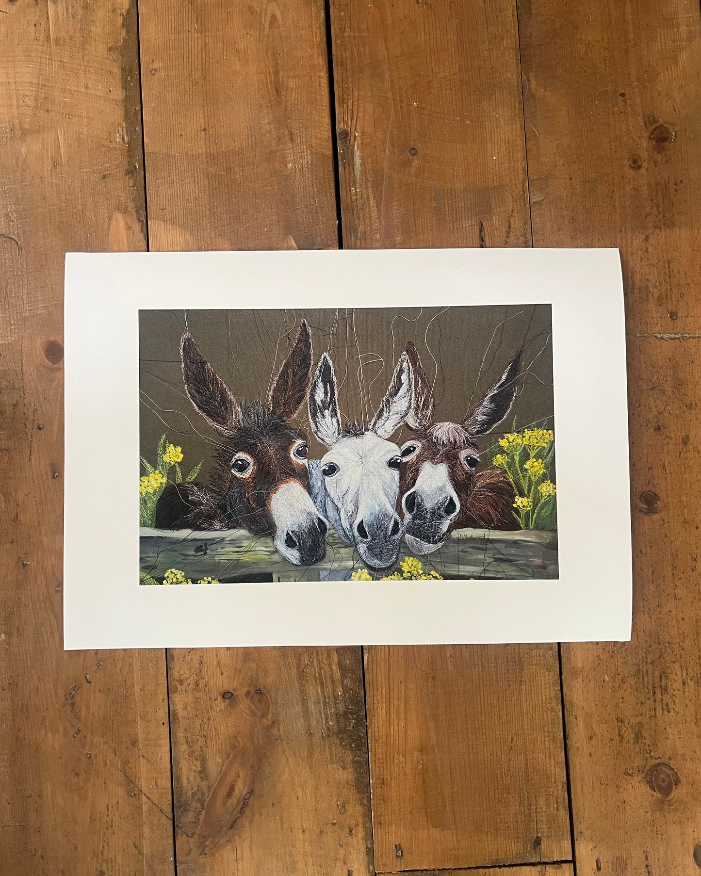 Donkeys Art Print