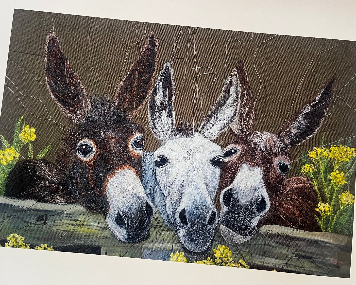 Donkey's Embroidered Canvas