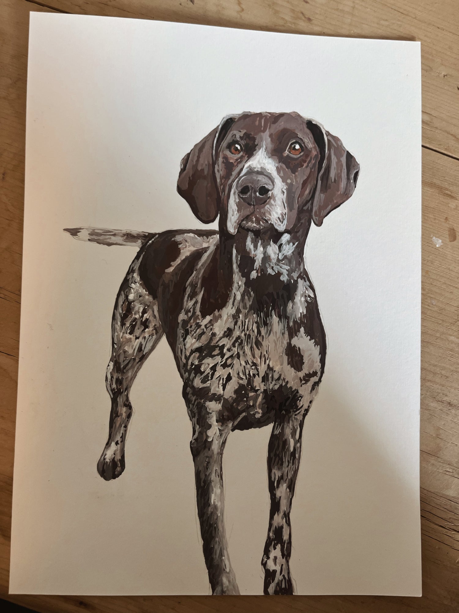 Pet Portrait Commissions