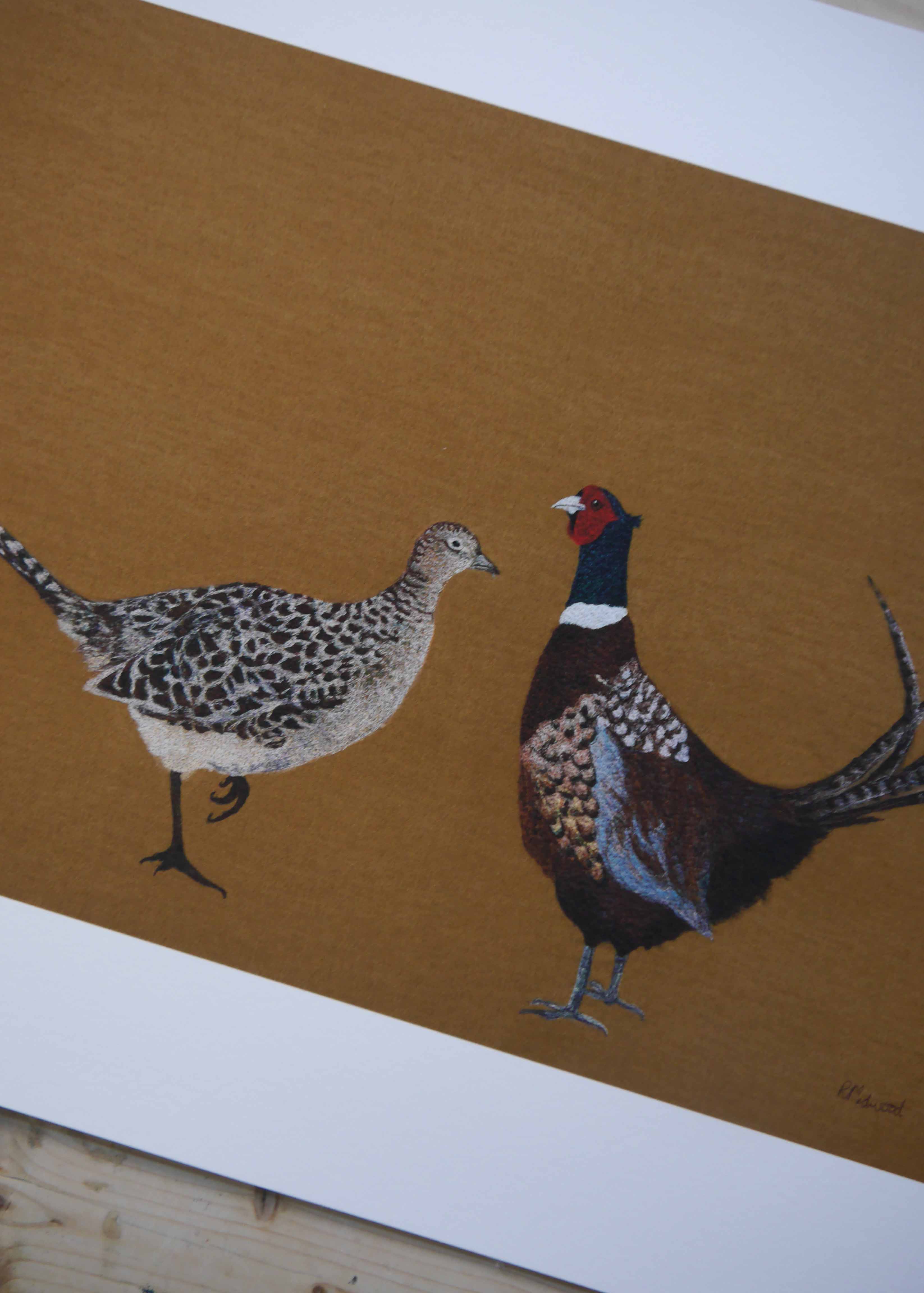Mr & Mrs Pheasant Art Print
