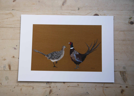 Mr & Mrs Pheasant Art Print