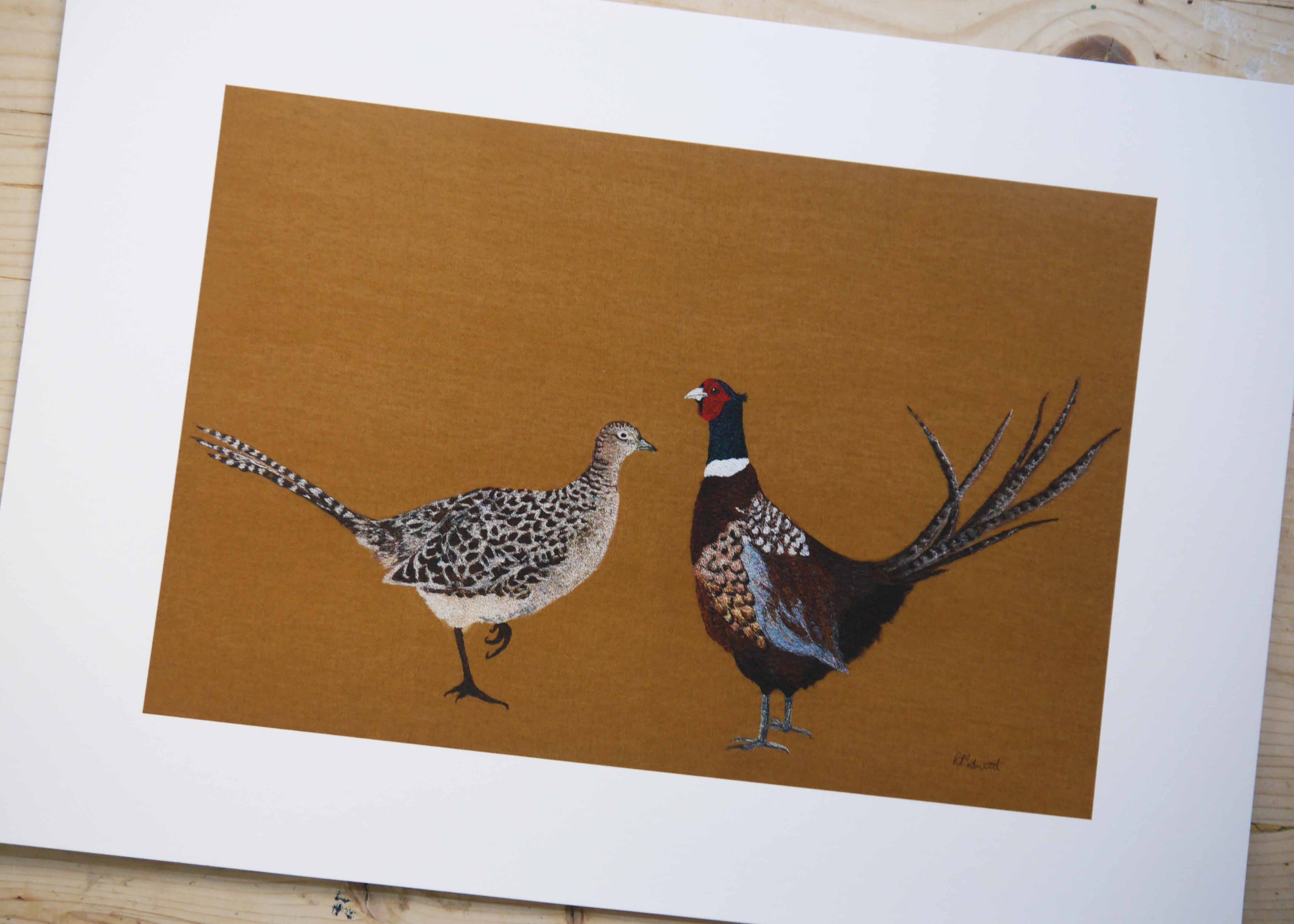 Mr & Mrs Pheasant Art Print