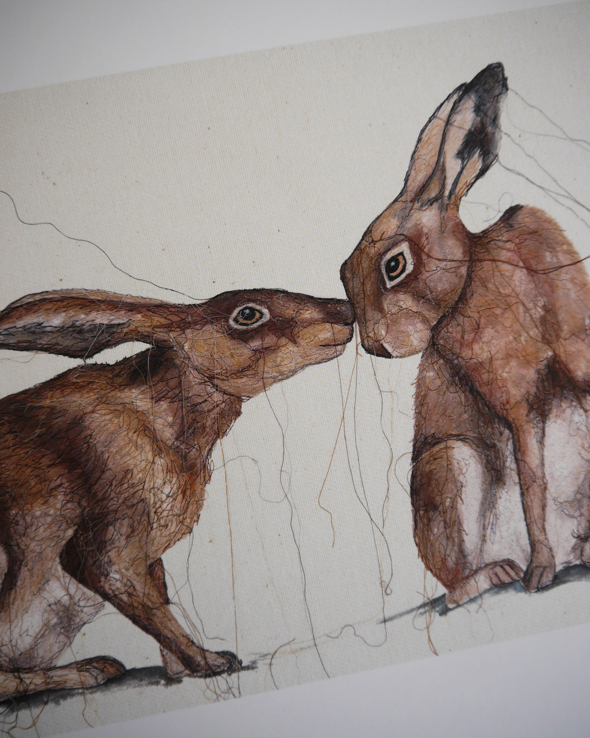Two Hares Art Print