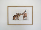 Two Hares Art Print