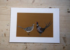 Mr & Mrs Pheasant Embroidered Canvas
