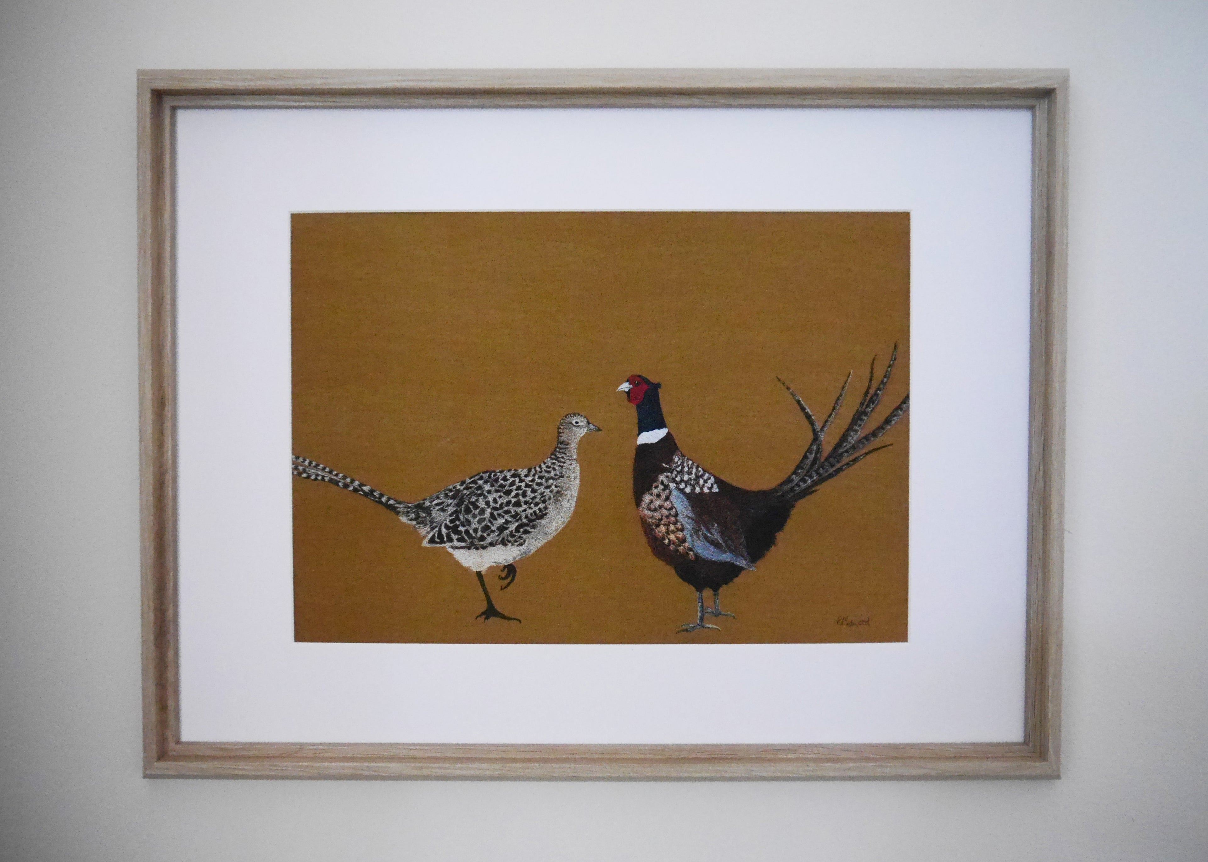 Mr & Mrs Pheasant Art Print