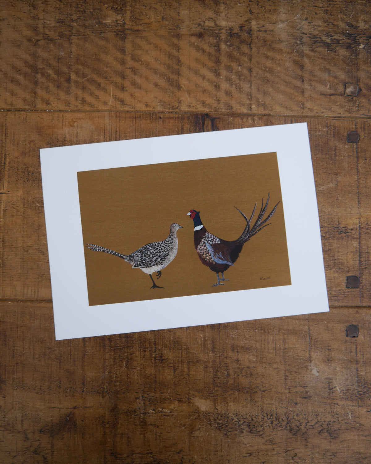 Mr & Mrs Pheasant Art Print