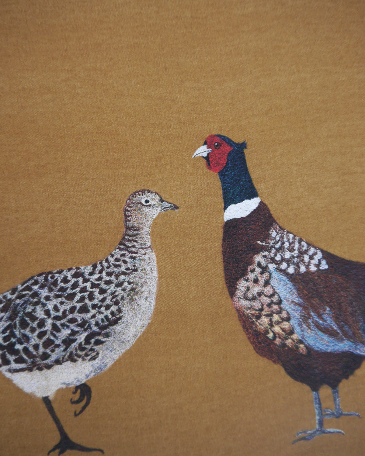 Mr & Mrs Pheasant Art Print