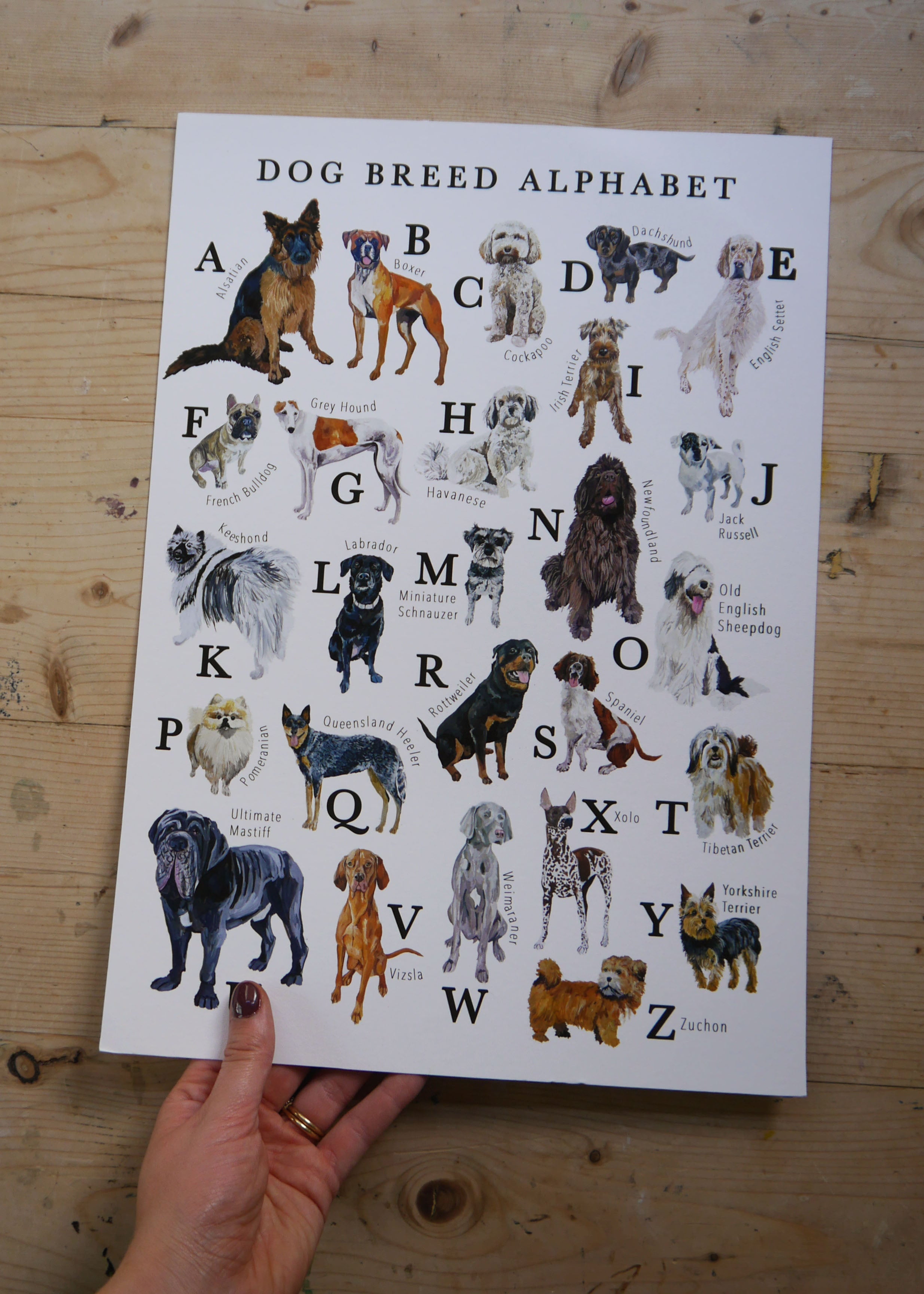 Dog Alphabet Print