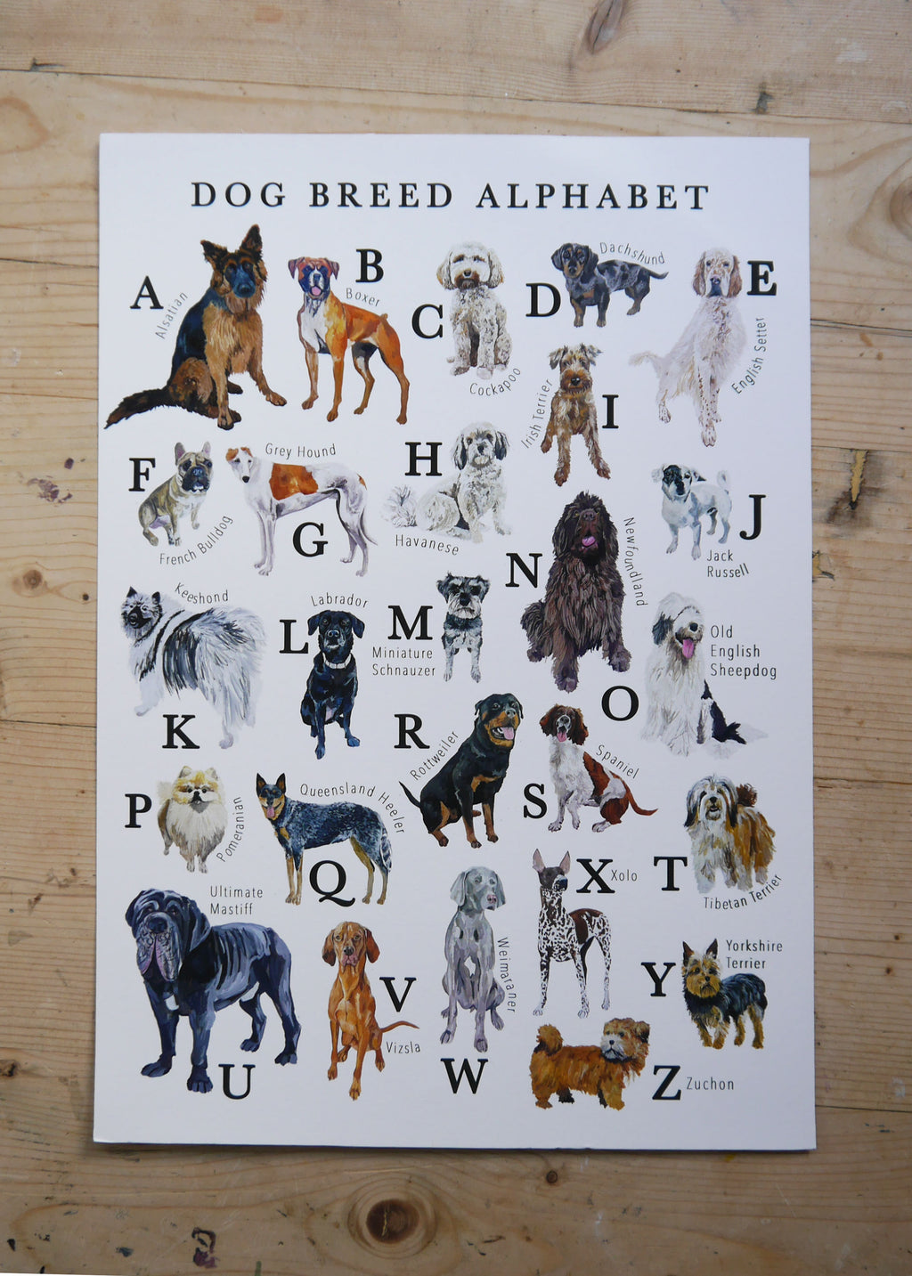 Dog Alphabet Print