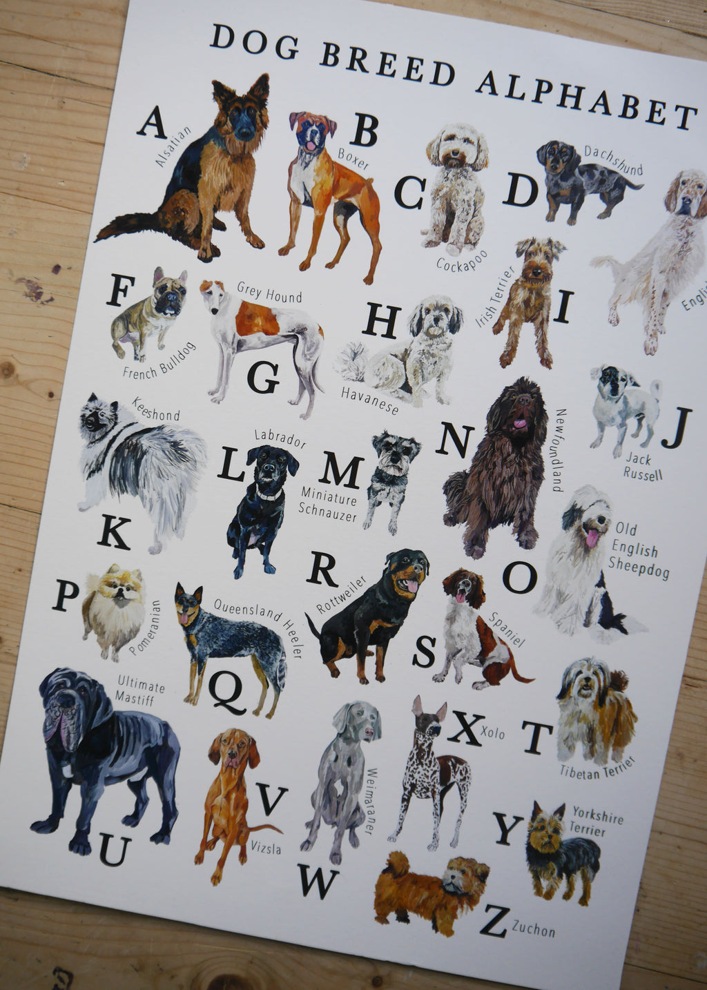 Dog Alphabet Print