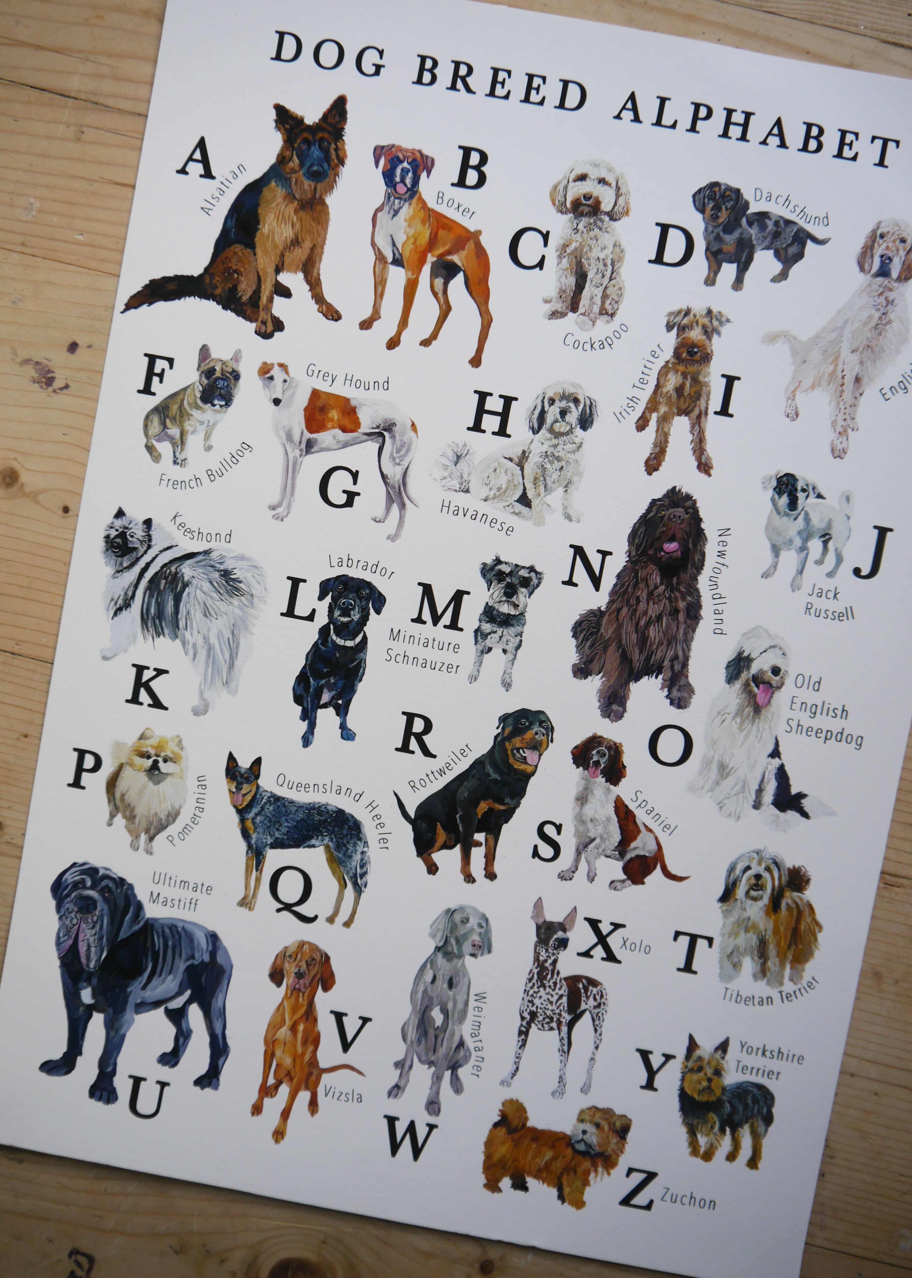Dog Alphabet Print