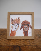 Alpaca Small Framed Print