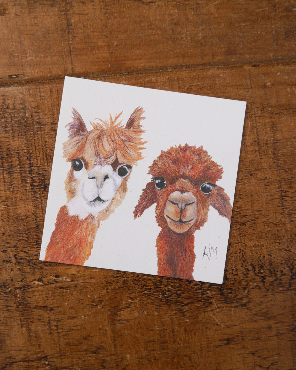 Alpaca Greetings Card
