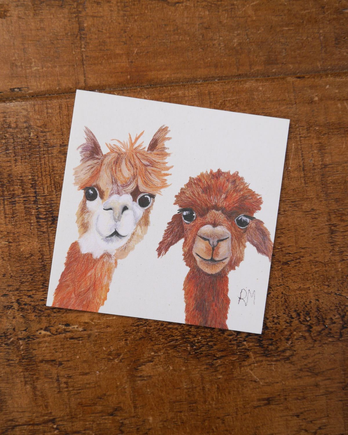 Alpaca Greetings Card