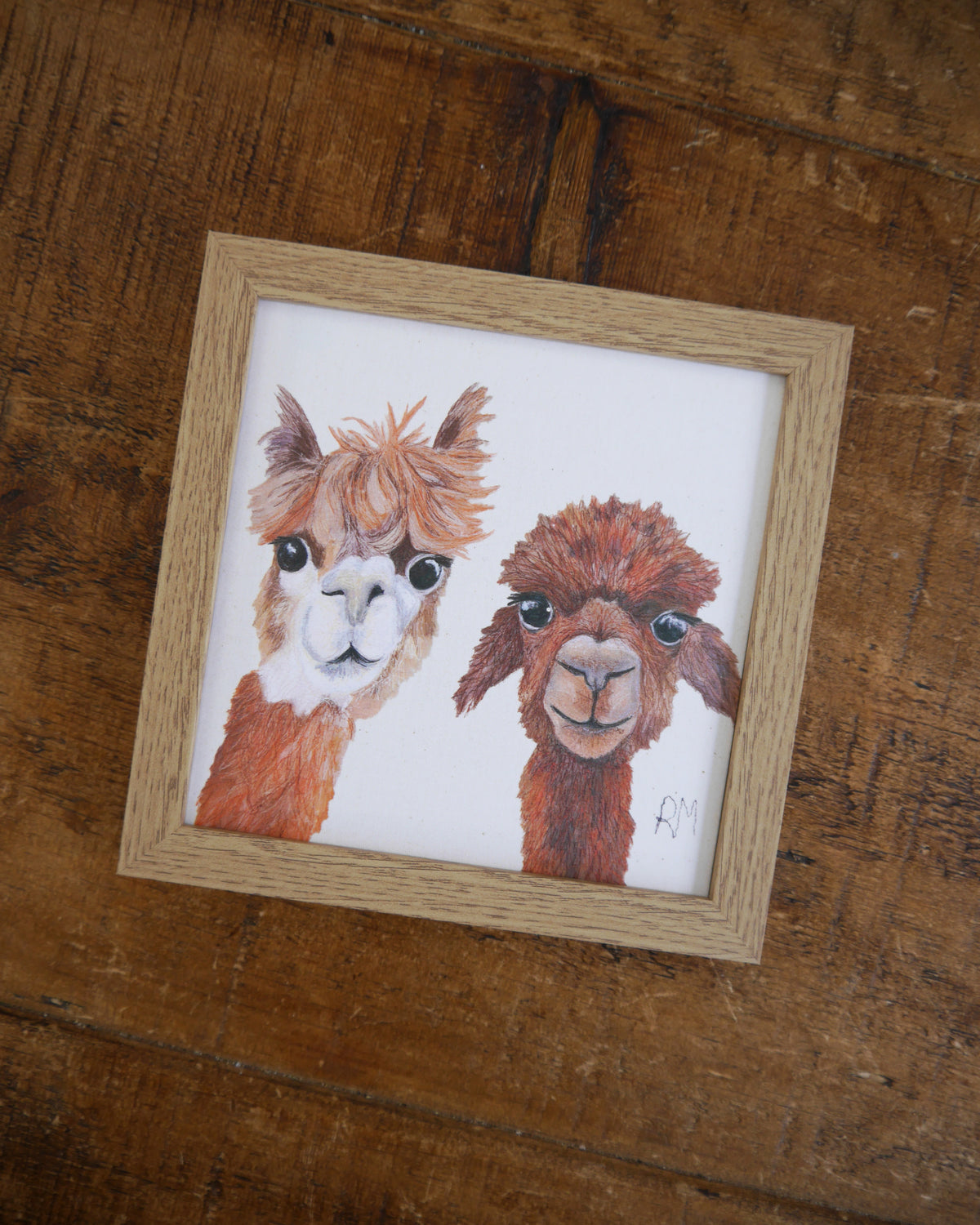 Alpaca Small Framed Print