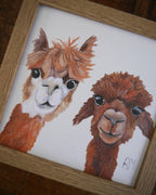 Alpaca Small Framed Print