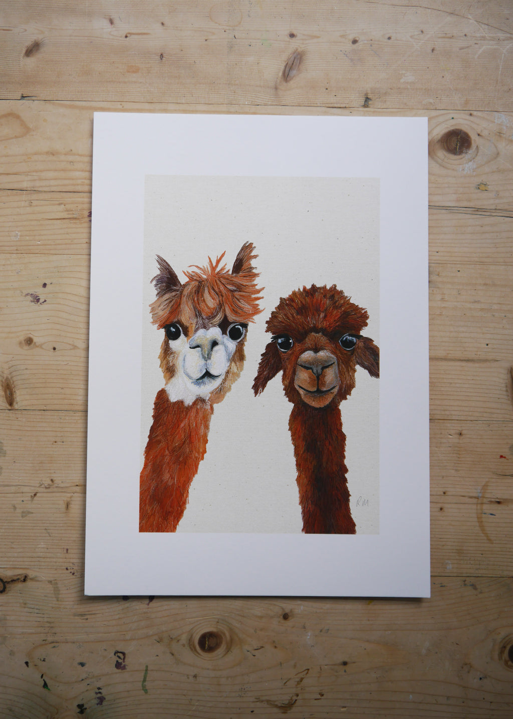 Alpacas Art Print