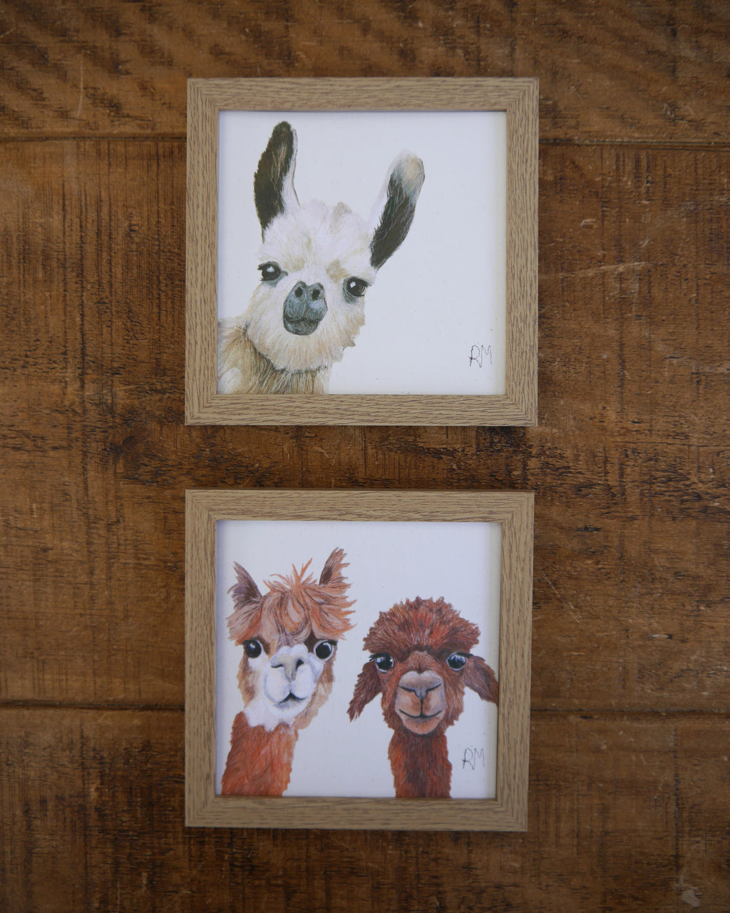Alpaca Small Framed Print