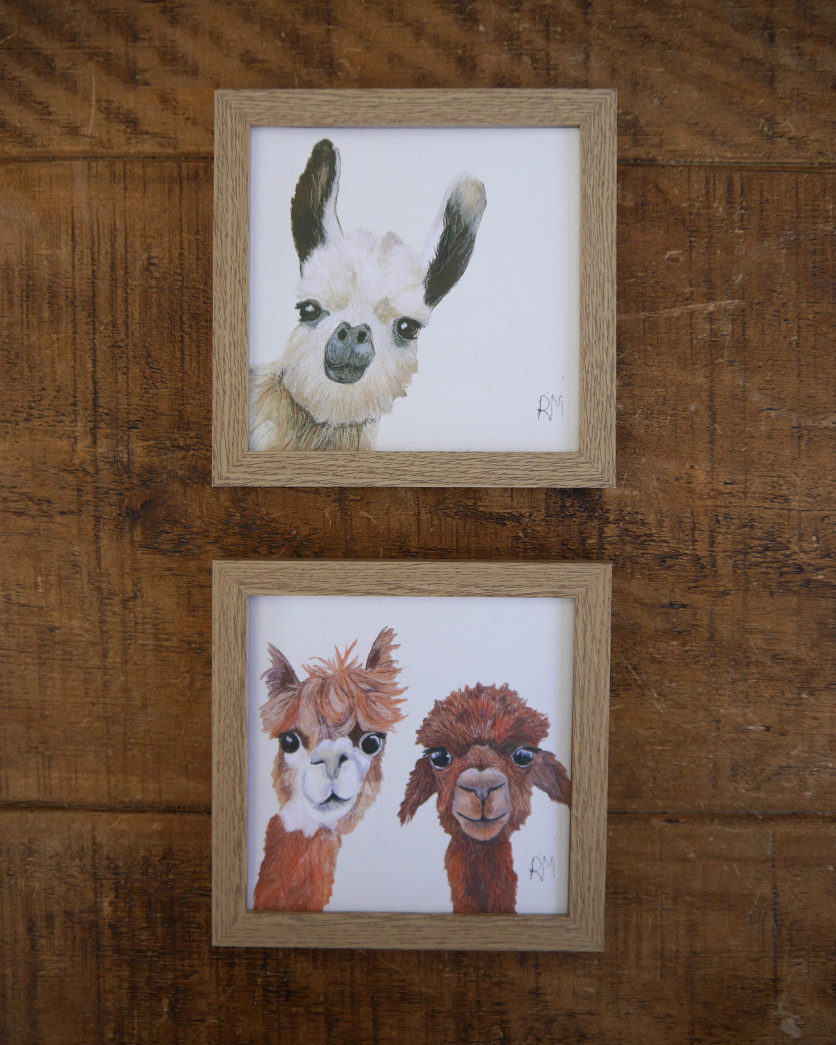 Alpaca Small Framed Print