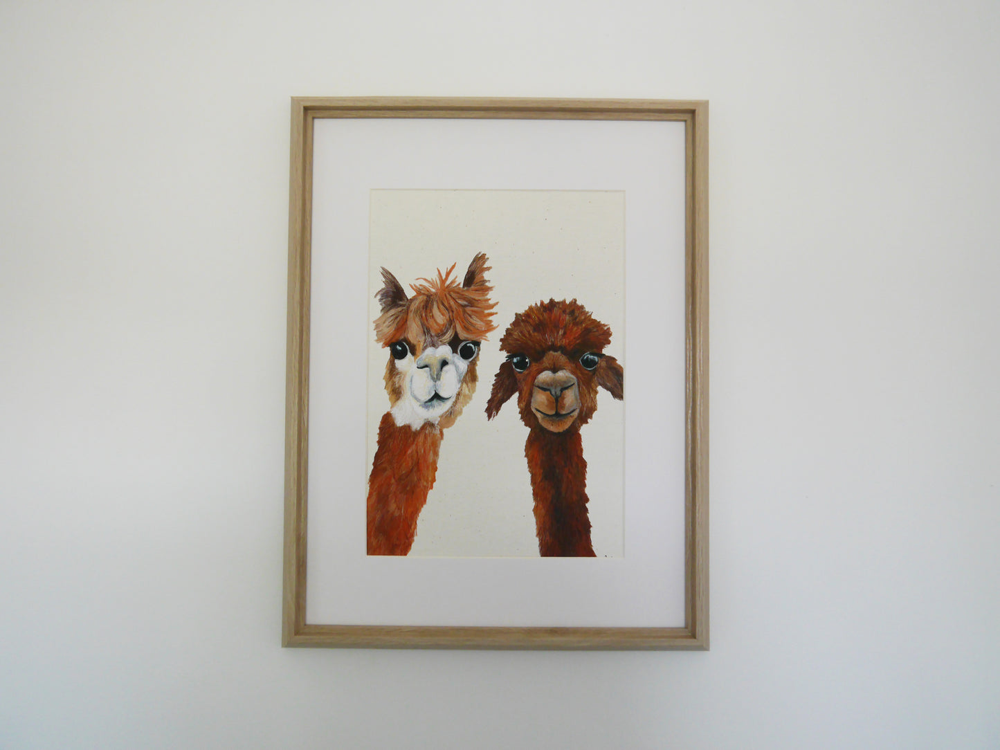 Alpacas Art Print