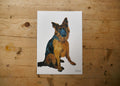 Alsatian Dog Print
