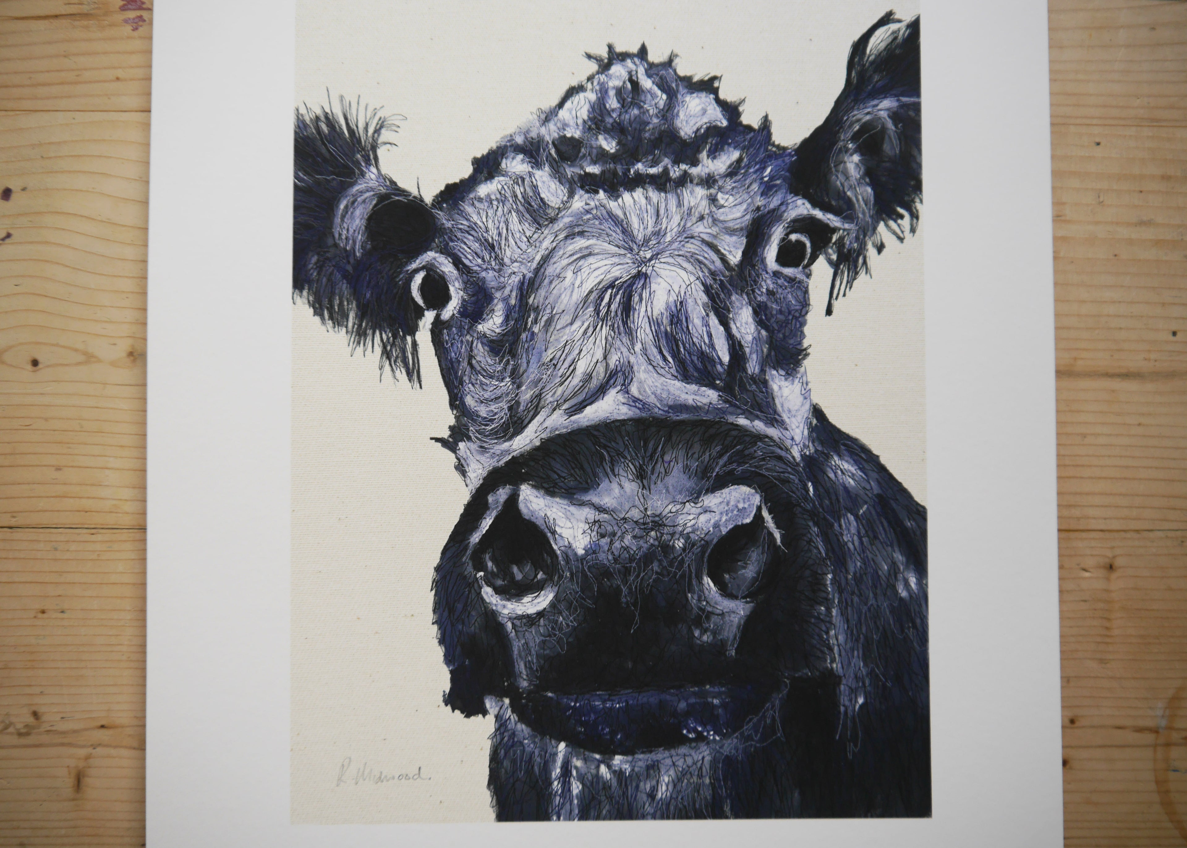 Cow Art Print