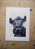 Cow Art Print