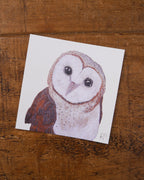 Barn Owl Greetings Card