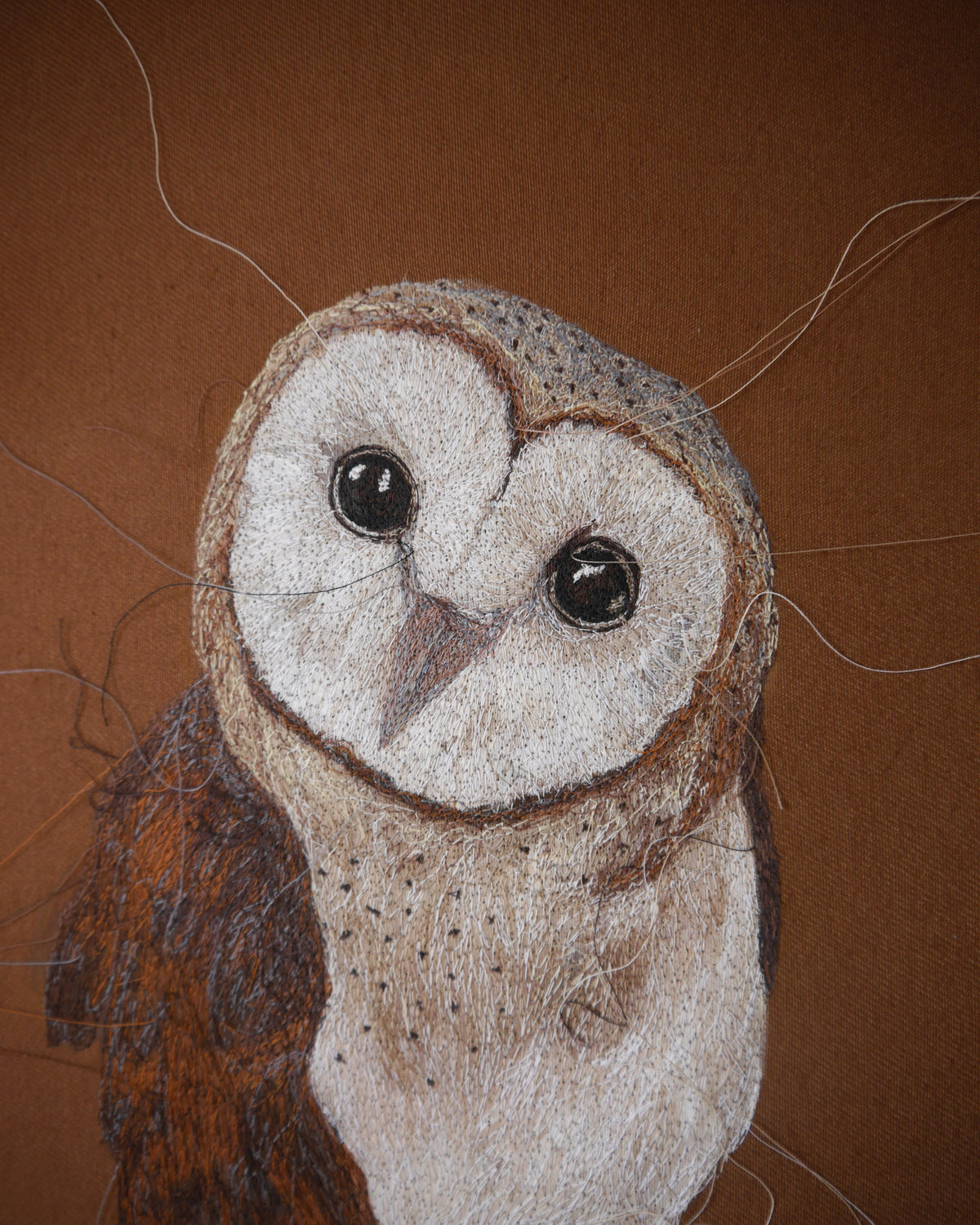 Barn Owl Embroidered Canvas