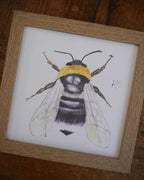 Bee Small Framed Print
