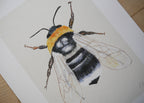 Bee Art Print