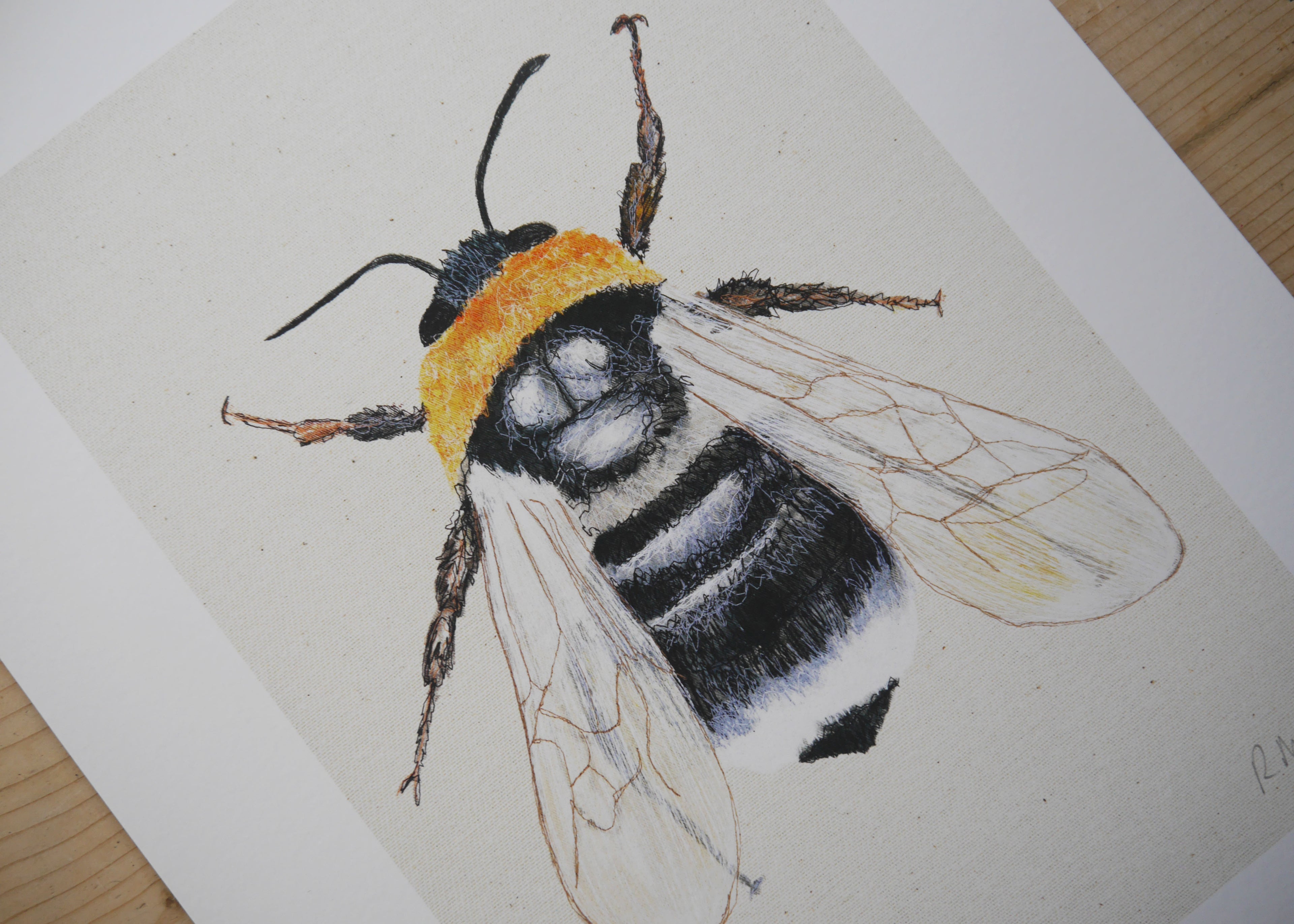 Bee Art Print