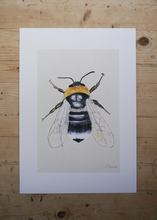 Bee Art Print