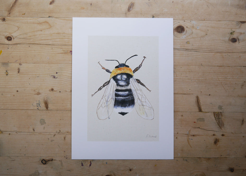 Bee Art Print