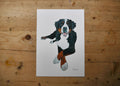 Bernese Mountain Dog Print