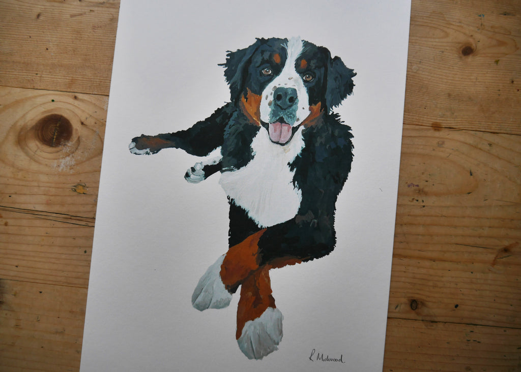 Bernese Mountain Dog Print