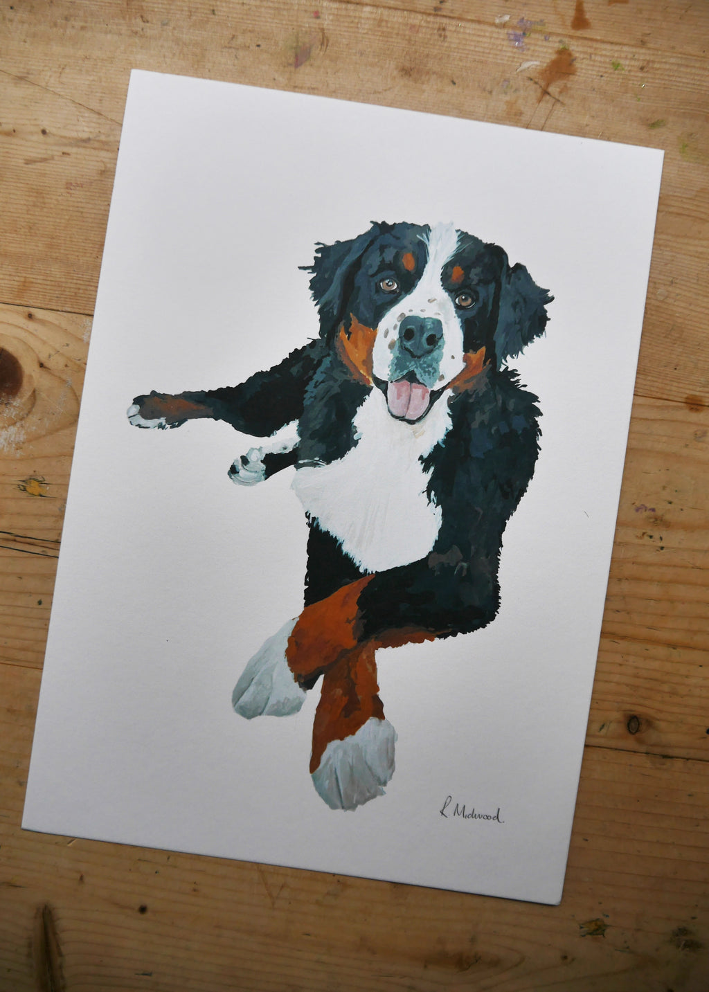 Bernese Mountain Dog Print