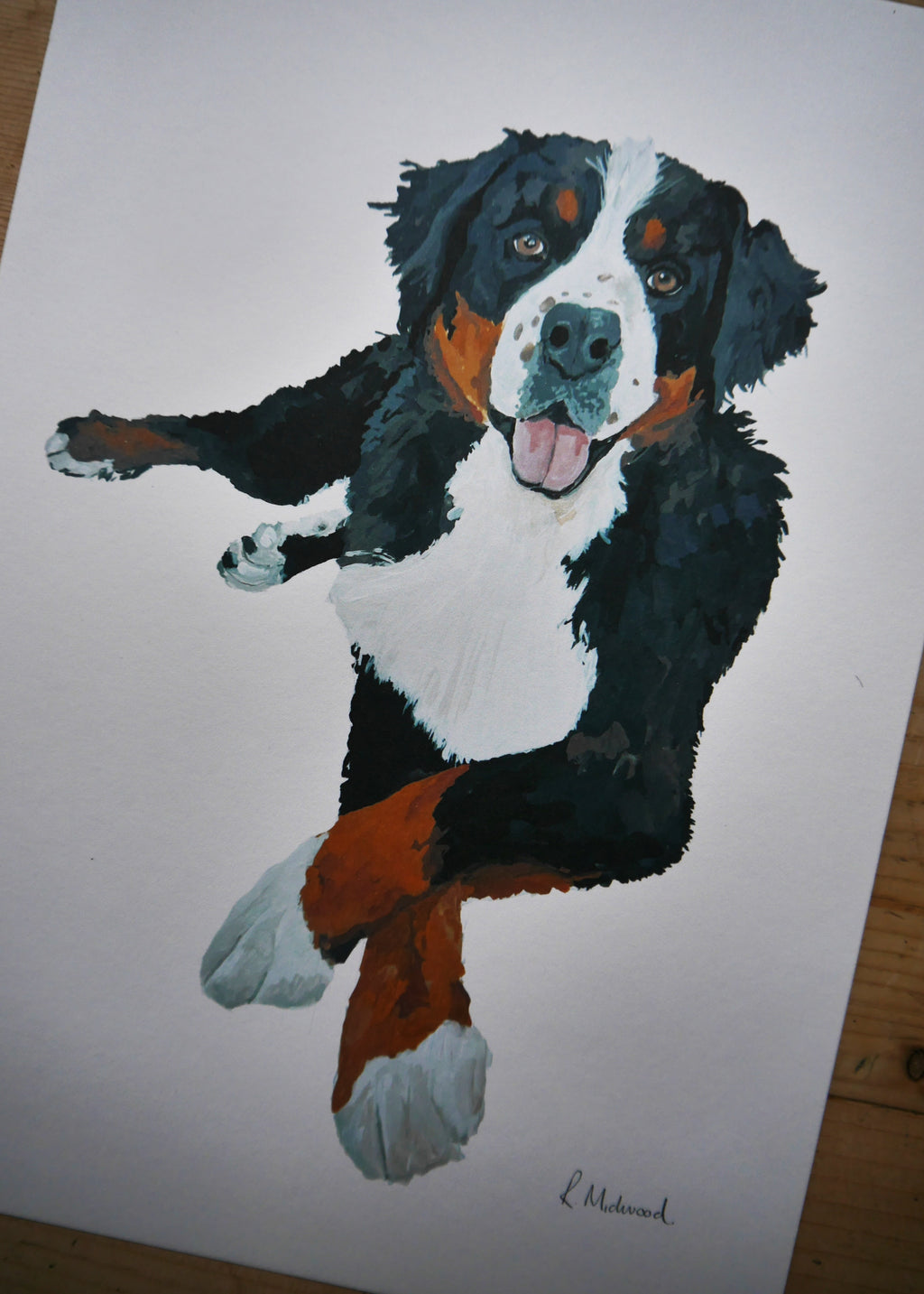 Bernese Mountain Dog Print
