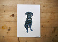 Black Labrador Dog Print