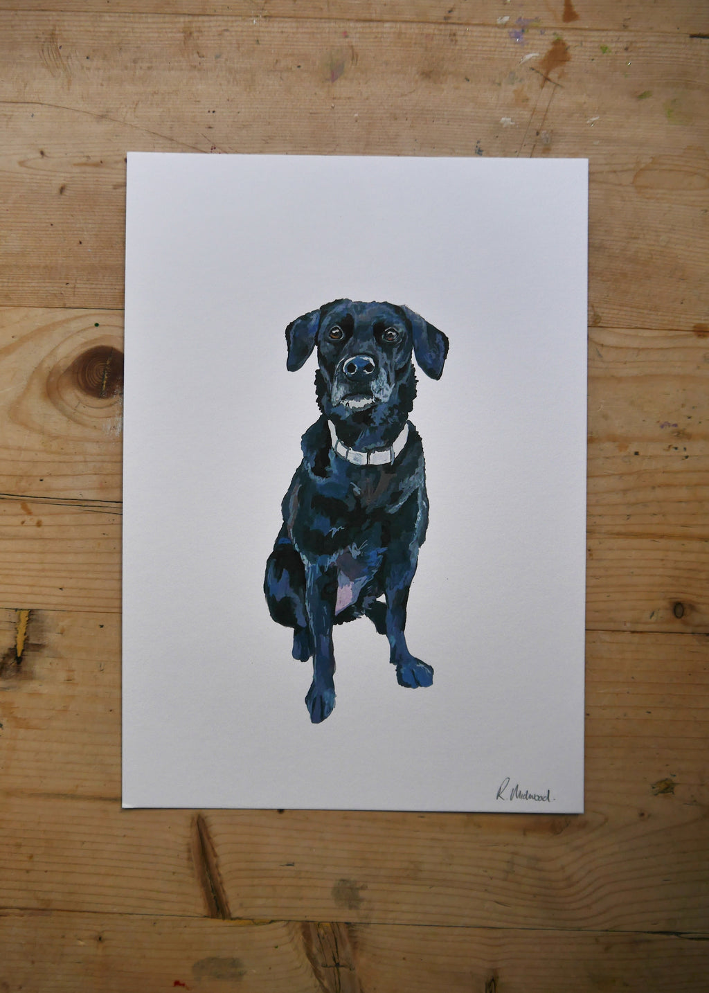 Black Labrador Dog Print