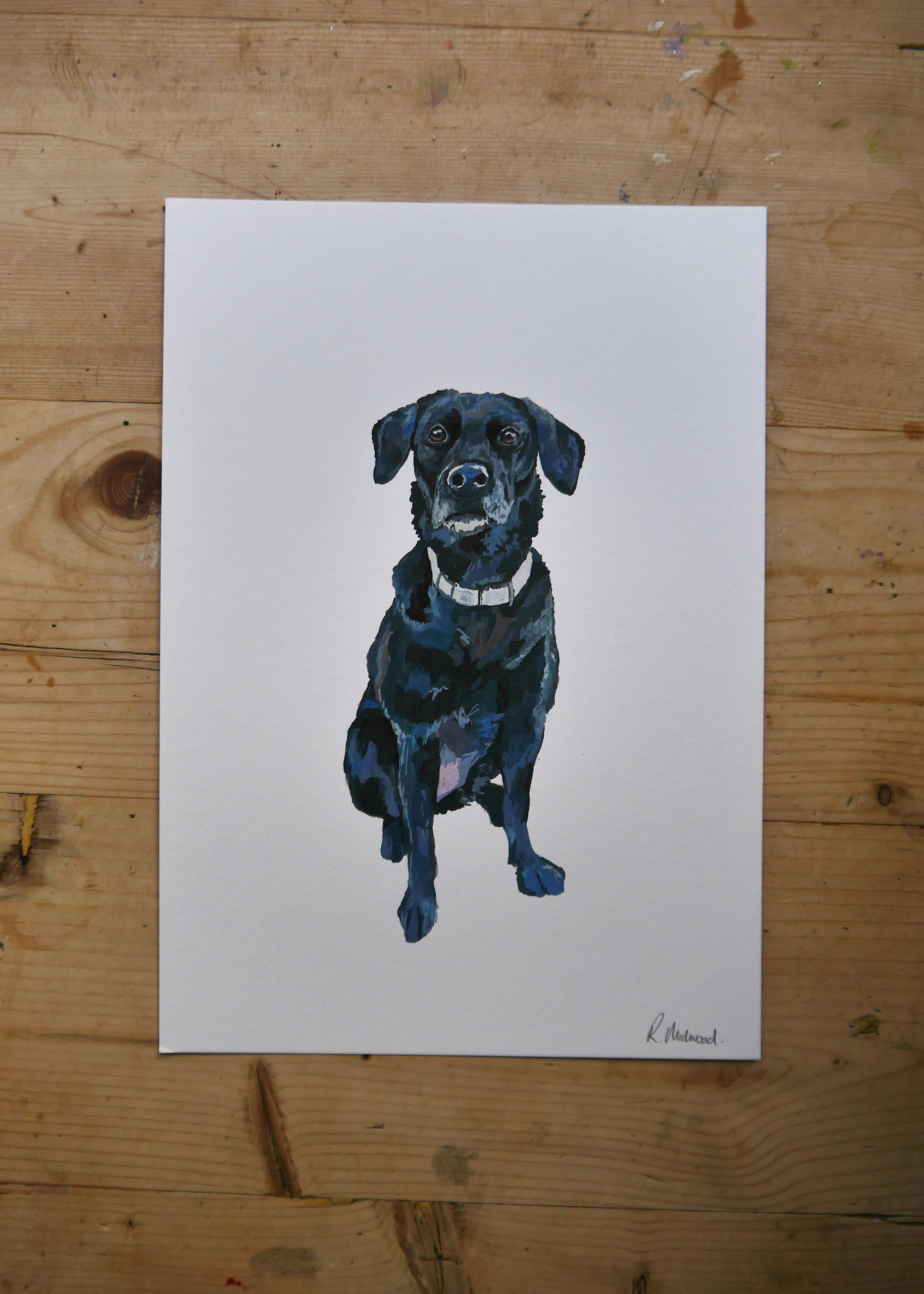 Black Labrador Dog Print