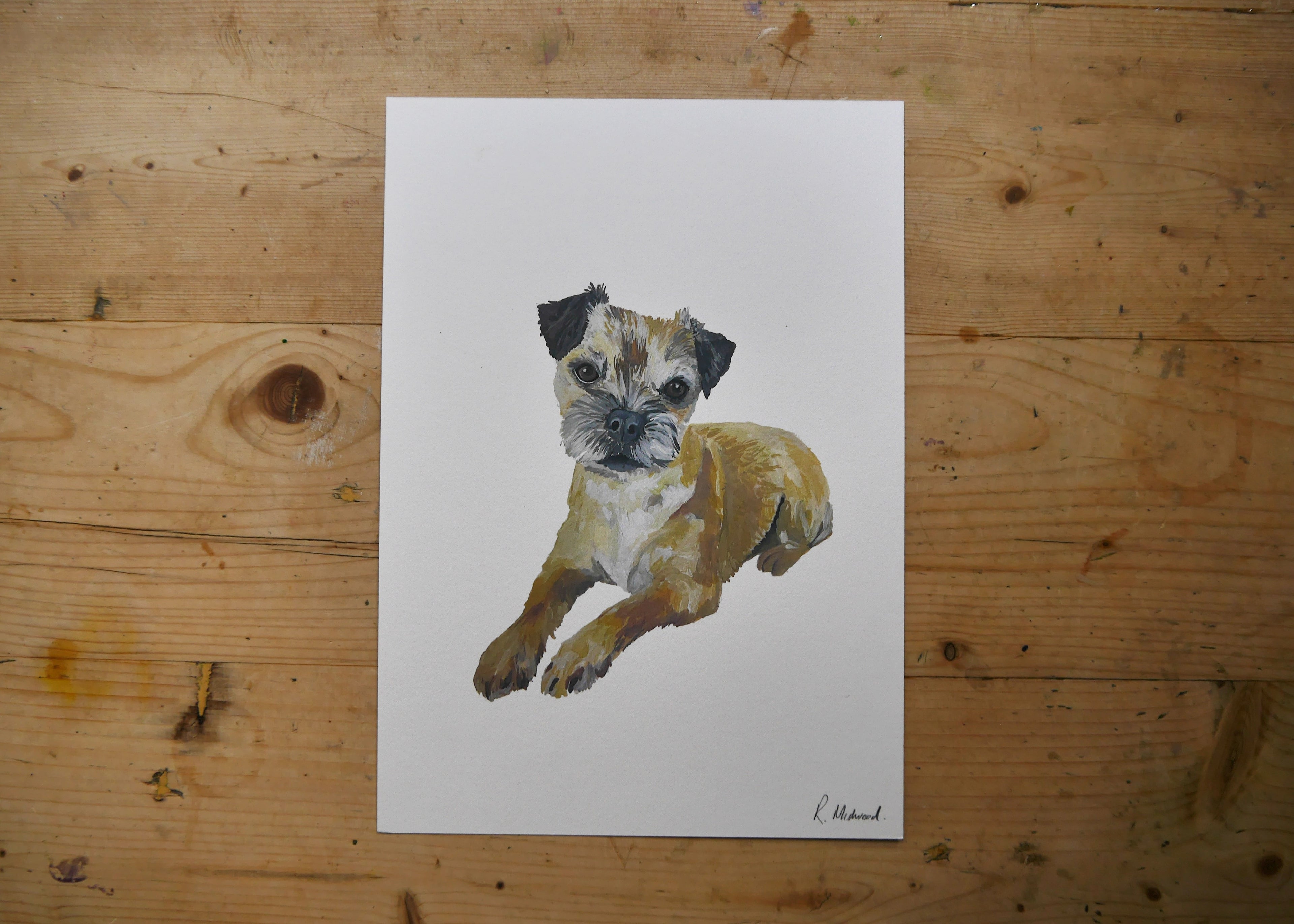 Border Terrier Dog Print