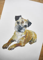 Border Terrier Dog Print