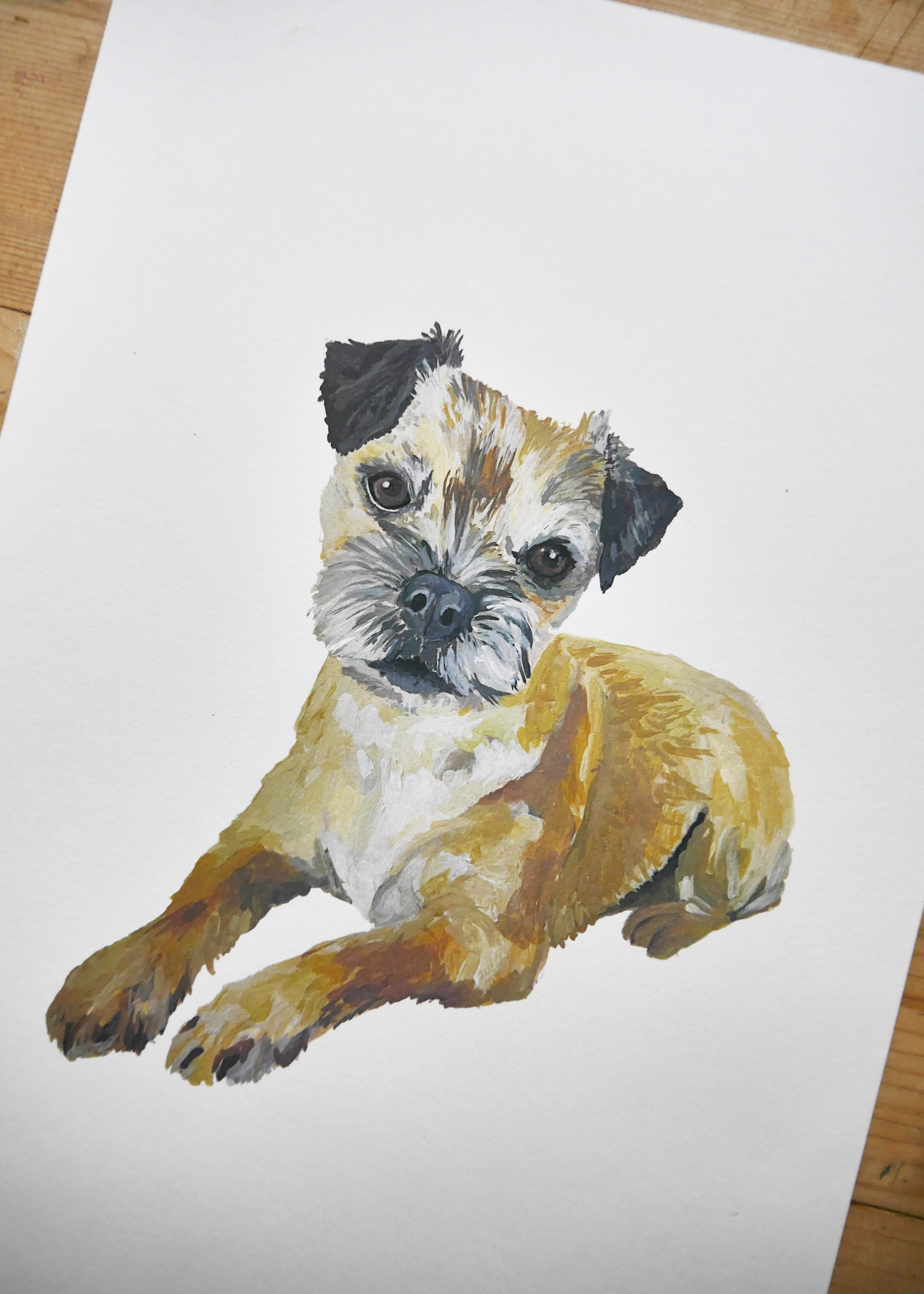 Border Terrier Dog Print