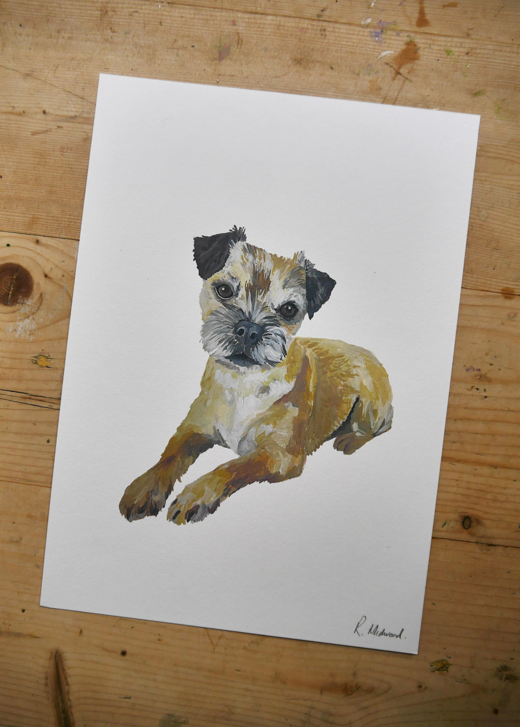 Border Terrier Dog Print